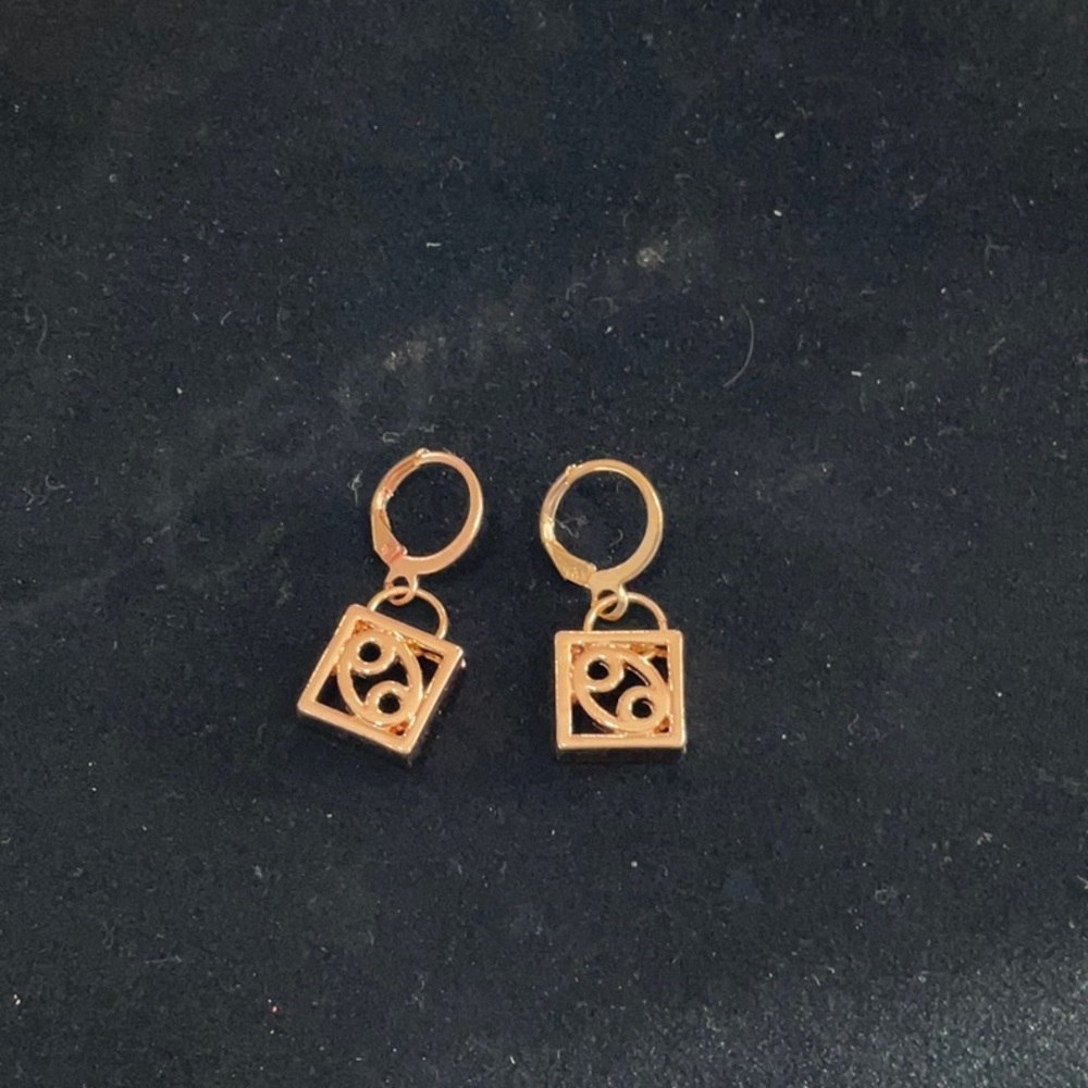 Zodiac Earrings Cancer